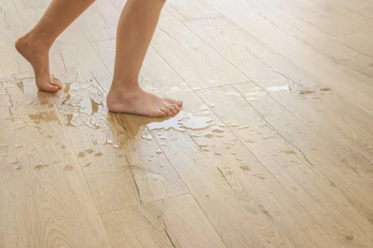 假如妈妈是甲方 图片4 假如妈妈是甲方 图片4