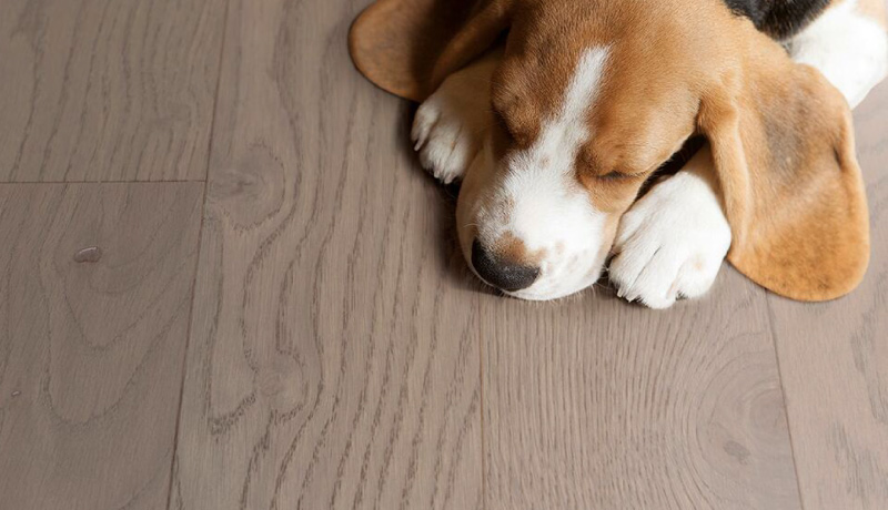 实木复合地板重新定义了高品质生活的标准 图片4 实木复合地板重新定义了高品质生活的标准 图片4